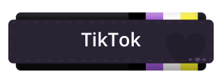 TikTok Panel from Non-Binary Pride Panel Theme.